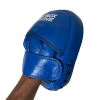 Focus Mitts