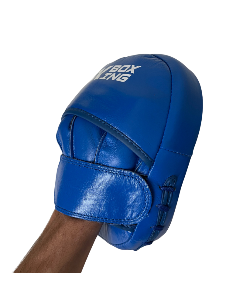 Focus Mitts