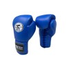Pro Sparring Gloves