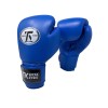 Premium Leather gloves