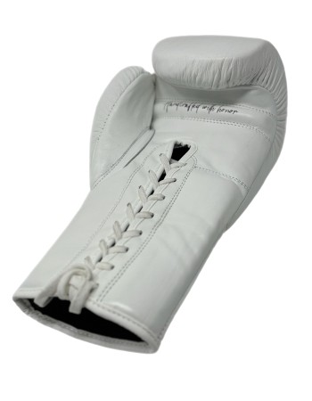 TK Pro fight gloves (Padding)