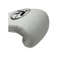 TK Pro fight gloves (Padding)
